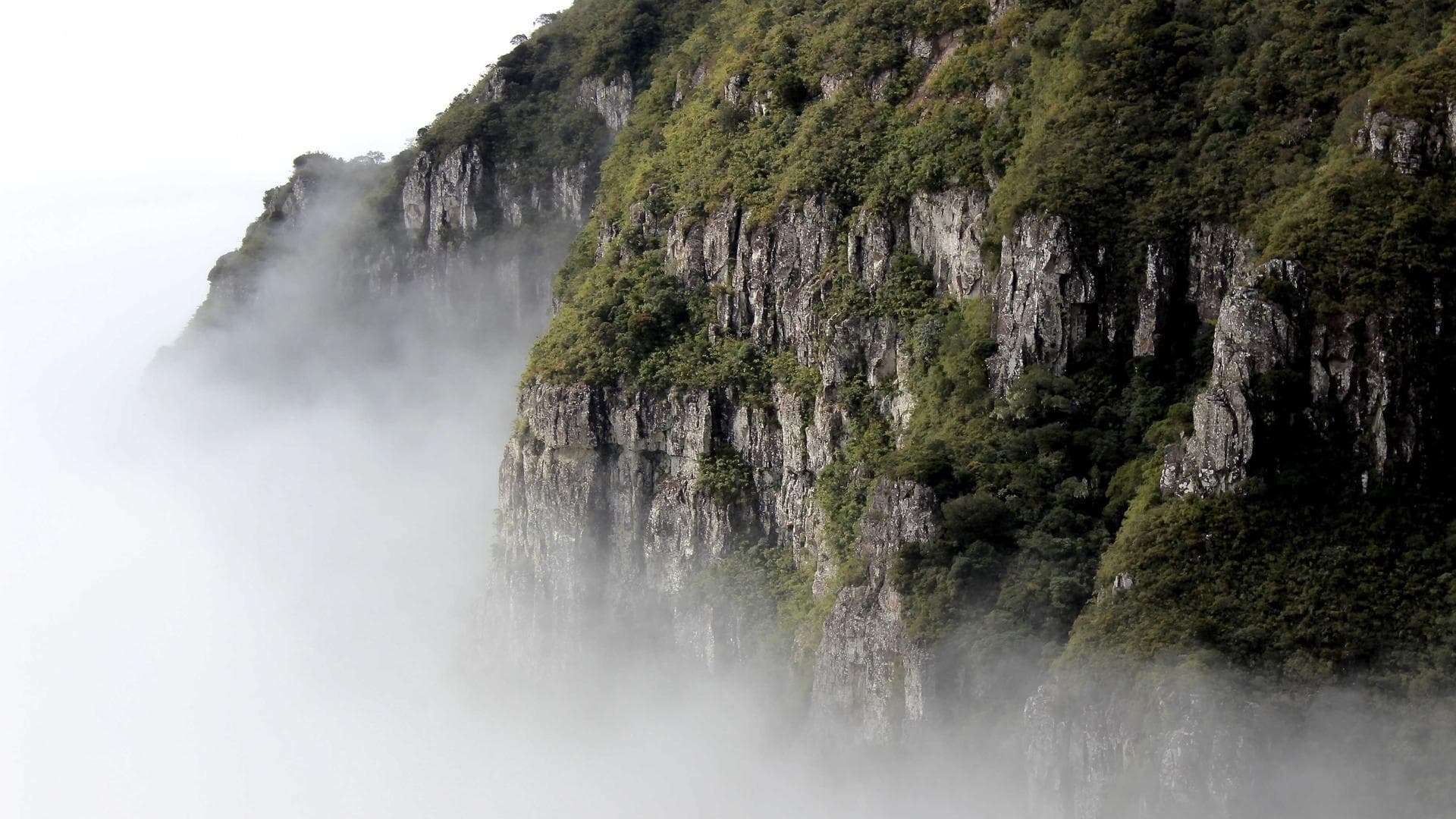 Abstract background of water ripples